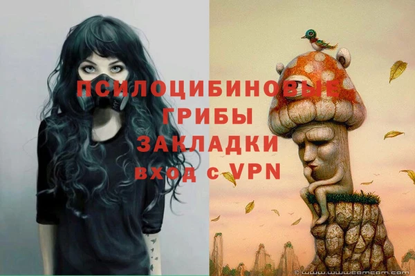 каннабис Абаза