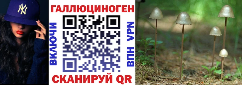 Галлюциногенные грибы MAGIC MUSHROOMS  Сысерть 